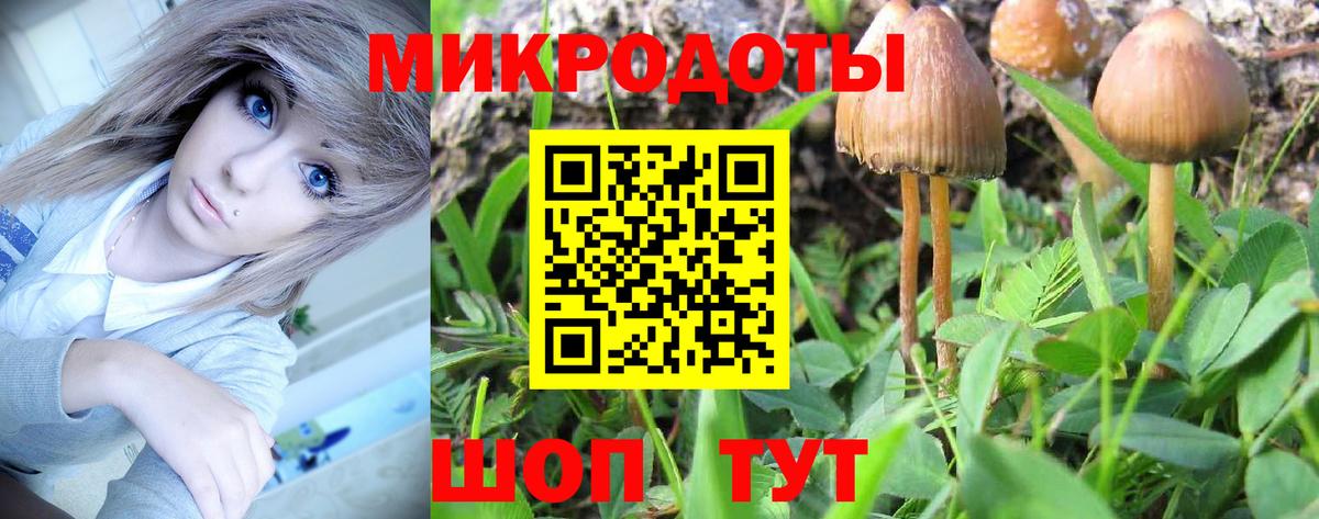 Псилоцибиновые грибы Psilocybe  Вход с VPN  Бор 