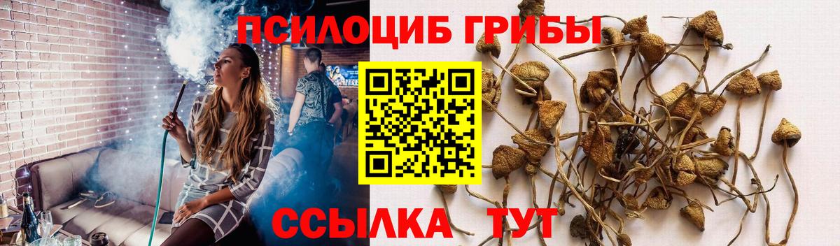 Галлюциногенные грибы GOLDEN TEACHER Бор